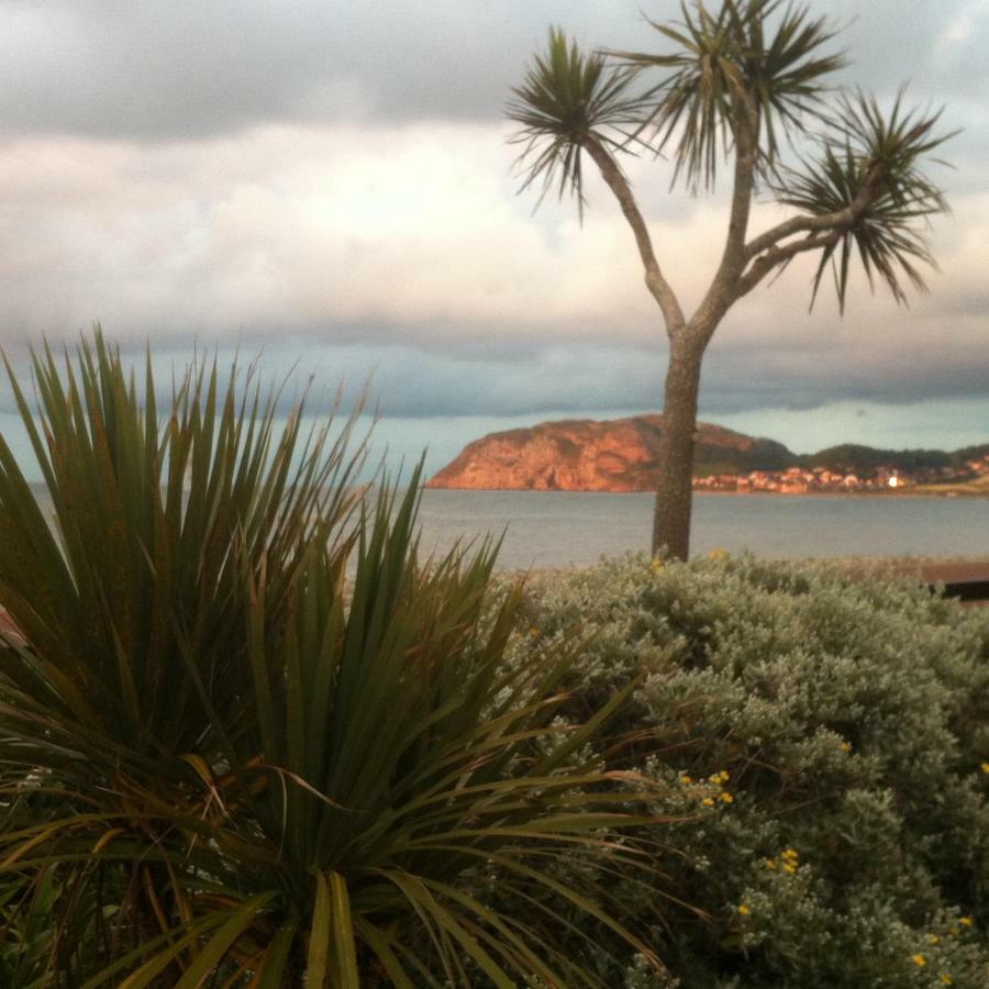 Cedar Lodge Llandudno Exteriör bild